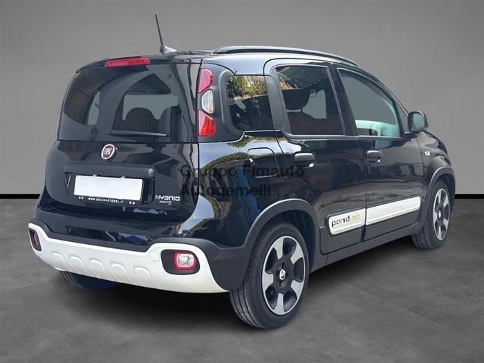 Fimauto - FIAT Panda Cross | ID 44943