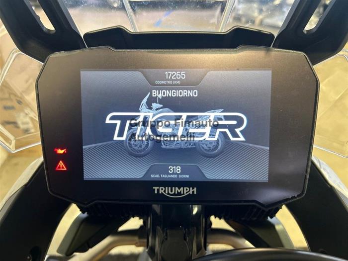 Fimauto - TRIUMPH Tiger 900 | ID 39855